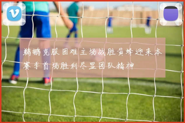 鹈鹕克服困难主场战胜黄蜂迎来本赛季首场胜利尽显团队精神
