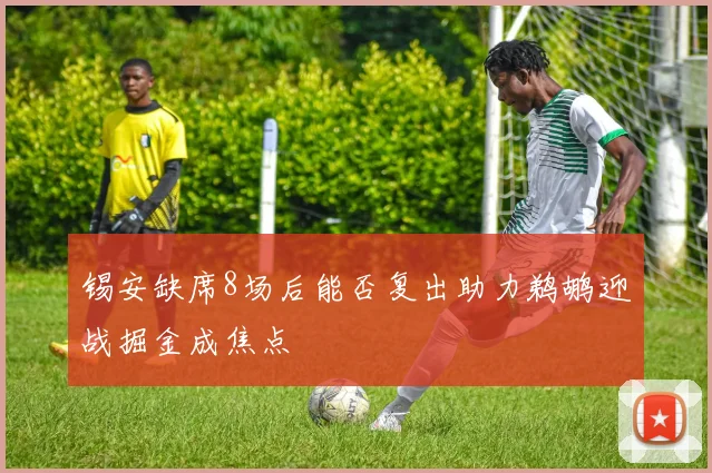 锡安缺席8场后能否复出助力鹈鹕迎战掘金成焦点