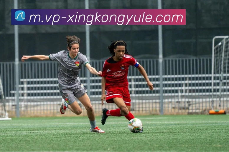 App Interface Preview