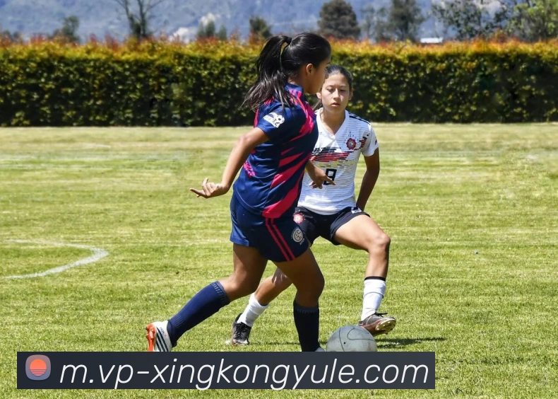 星空娱乐APP 封面图